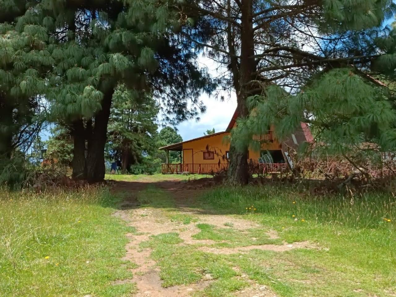 Chalets Amarelo Suesca Exterior foto